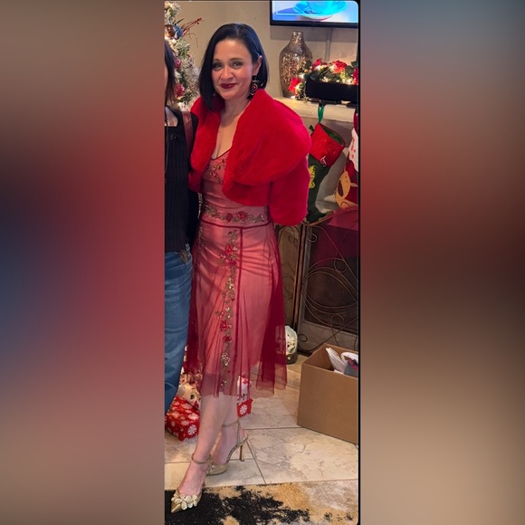 Vintage BCBG Holiday Dress Beaded red mesh size 2 - Picture 2 of 6